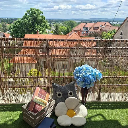 Gyöngyvér Központjánál