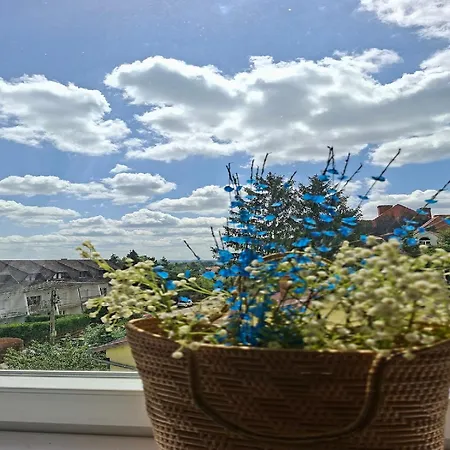 Gyoengyver Koezpontjanal * Fonyód